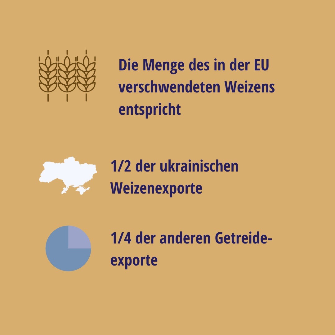 Infografik auf ockerfarbenem Hintergrund mit der Aussage, dass die in der EU verschwendete Weizenmenge der Hälfte der ukrainischen Weizenexporte sowie einem Viertel der anderen Getreideexporte entspricht. Die drei Punkte werden mit Symbolen für Weizenähren, einer Karte der Ukraine und einem Tortendiagramm illustriert.