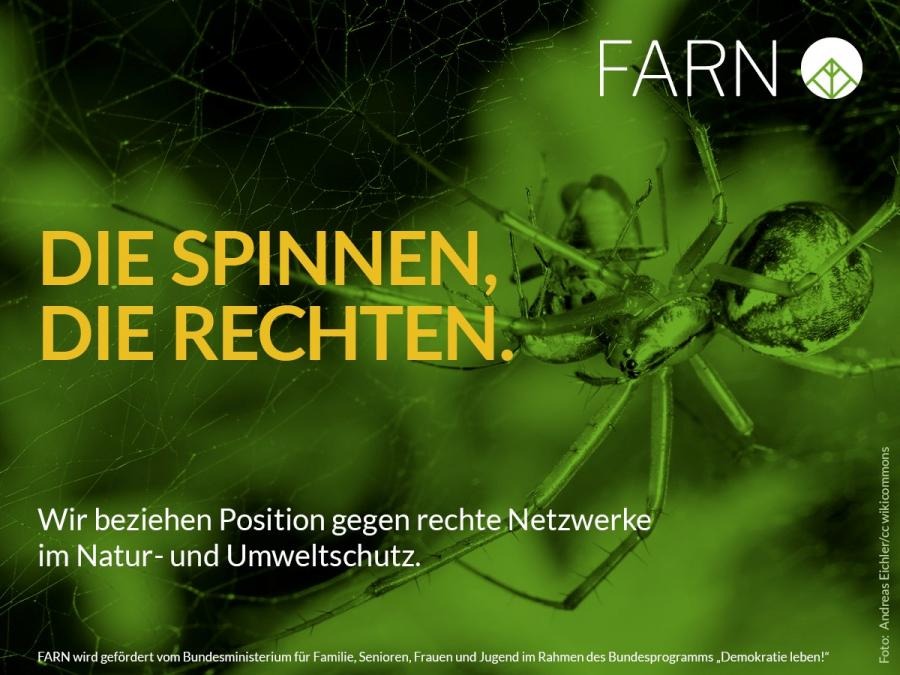 Grafik mit einer großen Spinne in ihrem Netz vor grünem Hintergrund, dazu der gelbe Schriftzug „Die Spinnen, die Rechten." sowie der Untertitel „Wir beziehen Position gegen rechte Netzwerke im Natur- und Umweltschutz." Oben rechts ist das Logo von FARN zu sehen.