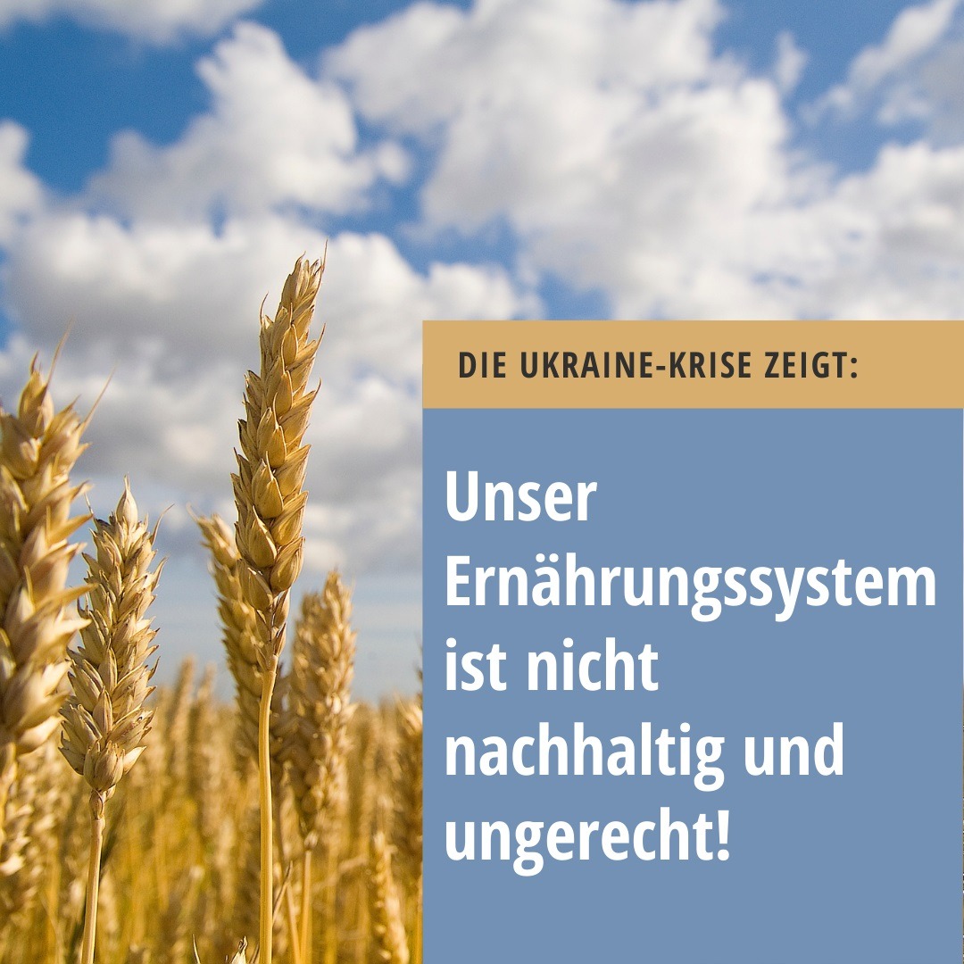 Nahaufnahme reifer Weizenähren vor blauem Himmel mit weißen Wolken, daneben ein Textfeld mit der Aufschrift „Die Ukraine-Krise zeigt: Unser Ernährungssystem ist nicht nachhaltig und ungerecht!".