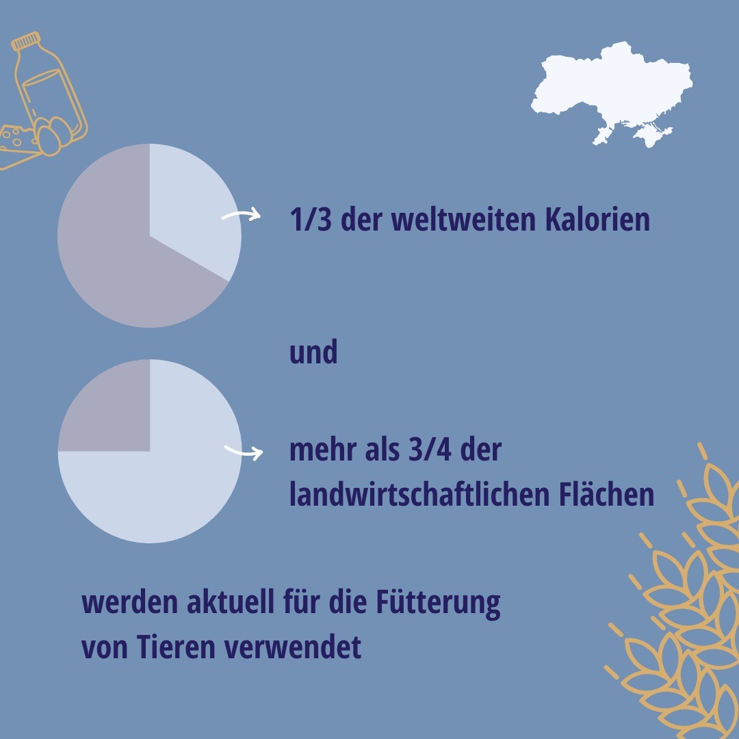 Infografik auf blauem Hintergrund mit zwei Kreisdiagrammen, die zeigen, dass aktuell 1/3 der weltweiten Kalorien und mehr als 3/4 der landwirtschaftlichen Flächen für die Fütterung von Tieren verwendet werden. Verziert ist die Grafik mit Illustrationen einer Ukraine-Karte, von Getreideähren sowie Lebensmittelsymbolen.