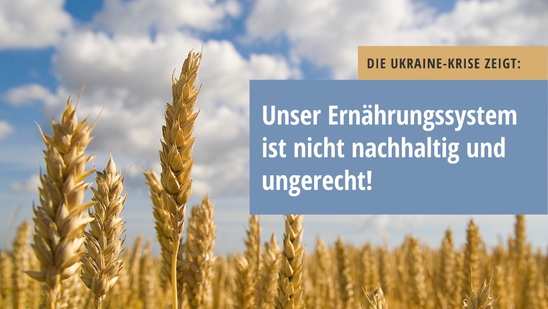 Nahaufnahme reifer Weizenähren auf einem Feld vor einem blauen Himmel mit Wolken, überlagert von einem Textfeld mit der Aufschrift „Die Ukraine-Krise zeigt: Unser Ernährungssystem ist nicht nachhaltig und ungerecht!".